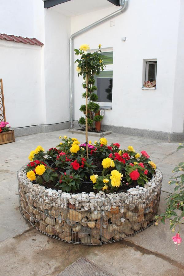 Pension Budissin Bautzen Bagian luar foto